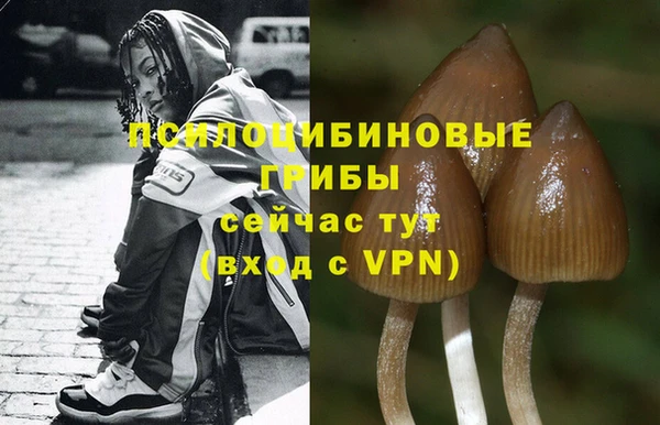 круглые Алексин