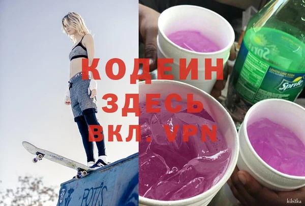 крисы Абаза